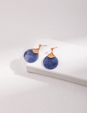 Pair of blue earrings with rose gold accents on a white surface